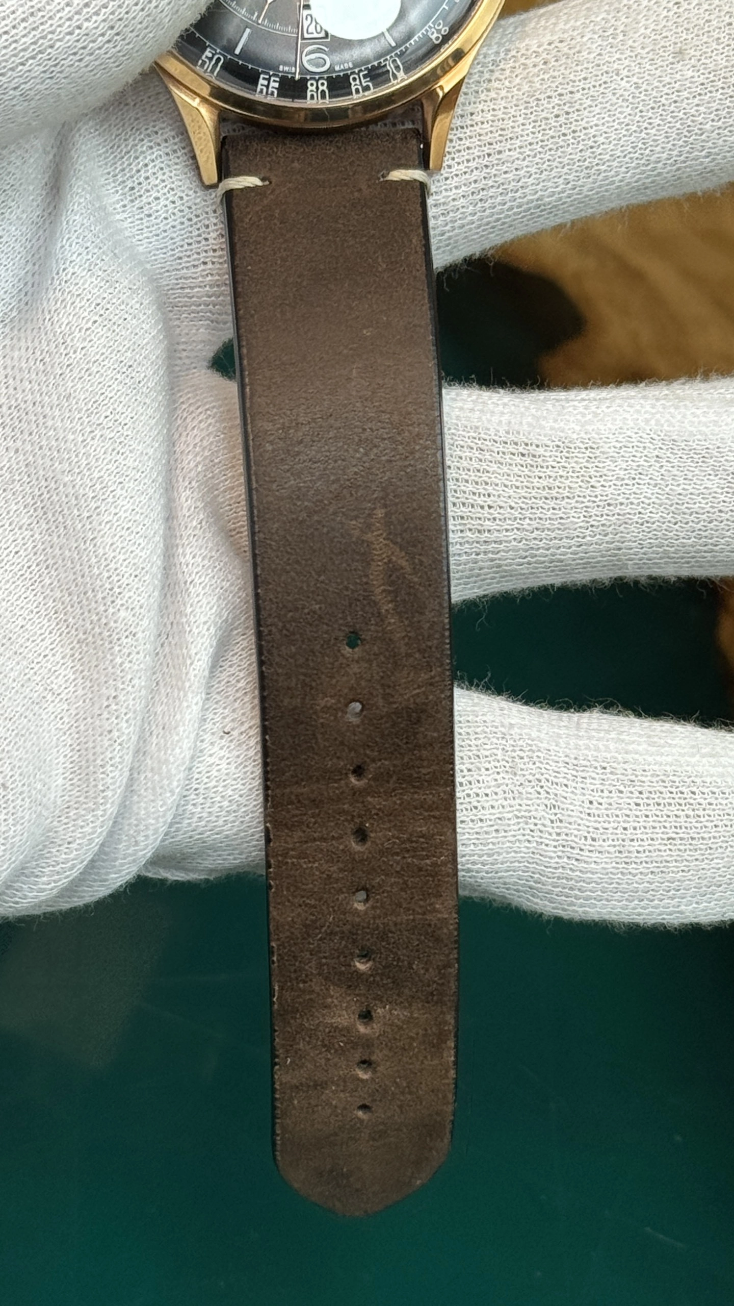 z5226458858790-23db01cd3bb1e8a725a398af24d2c202