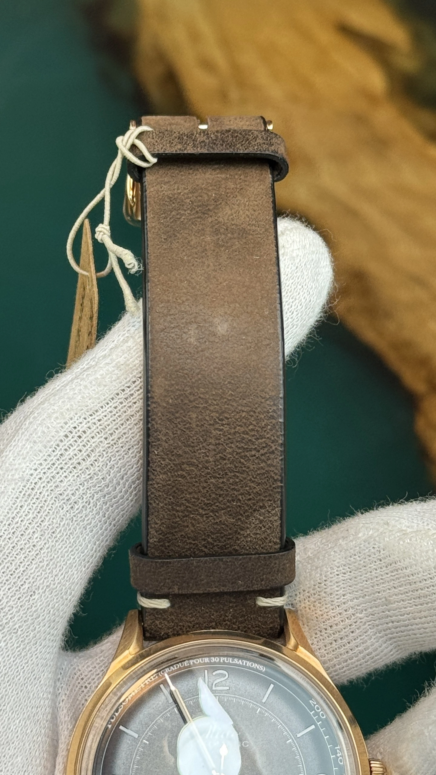 z5226458881168-b07e7bc21af9b5ebe1f3d3800696ad00