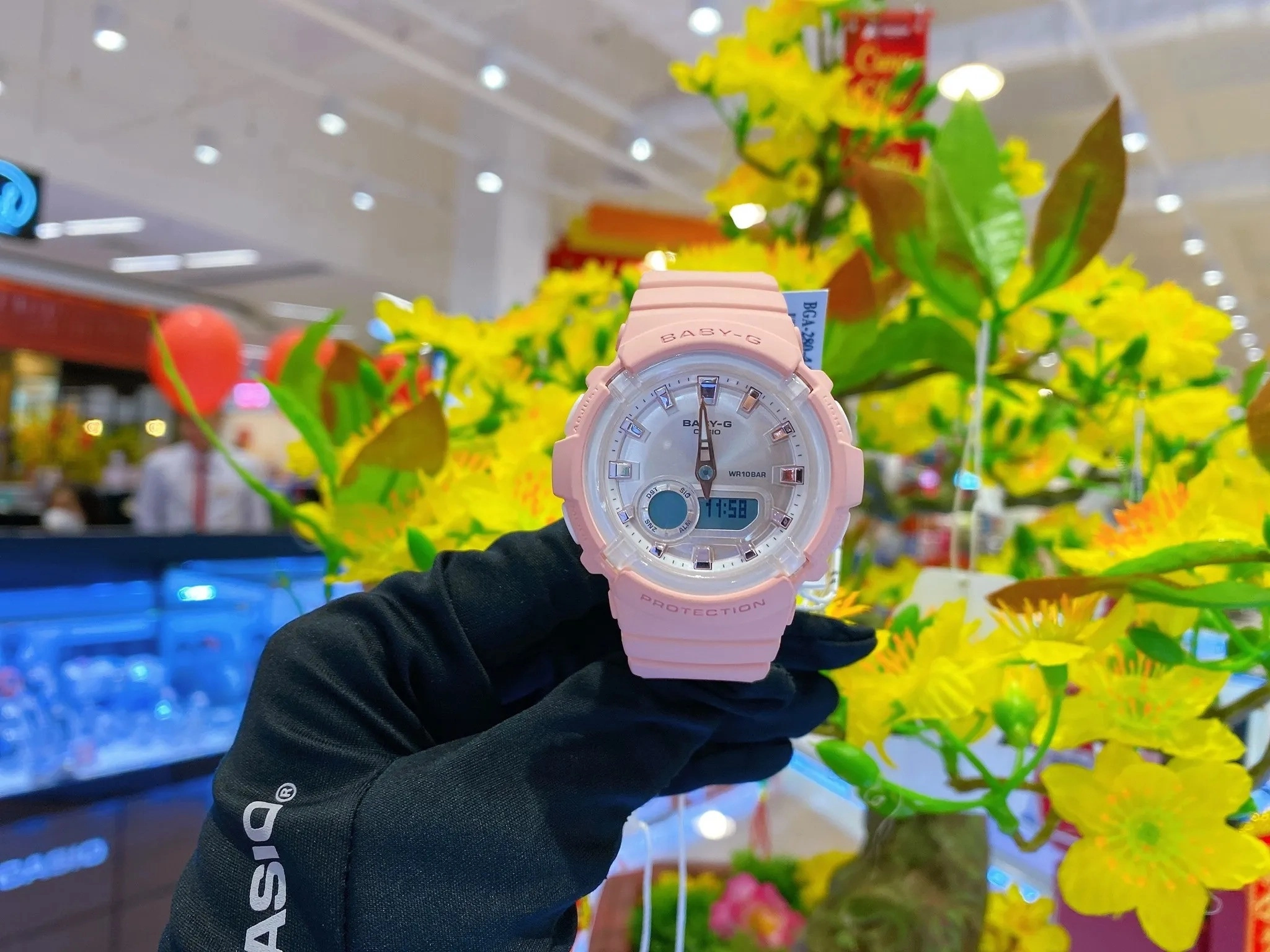 329251103-1620589728363915-4519068677340813743-n-11zon