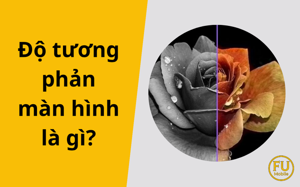 Độ tương phản màn hình là gì? Hiểu đúng để chọn màn hình điện thoại đã mắt