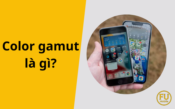 Color gamut là gì? Hiểu đúng dải màu màn hình điện thoại