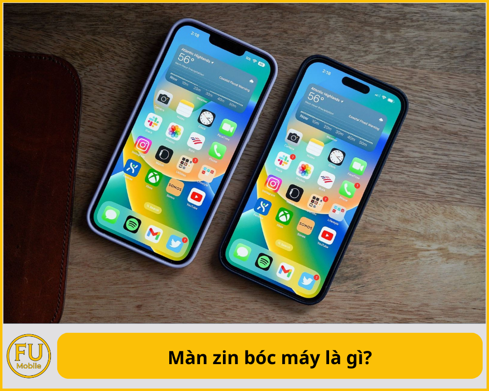 Màn zin bóc máy là gì?