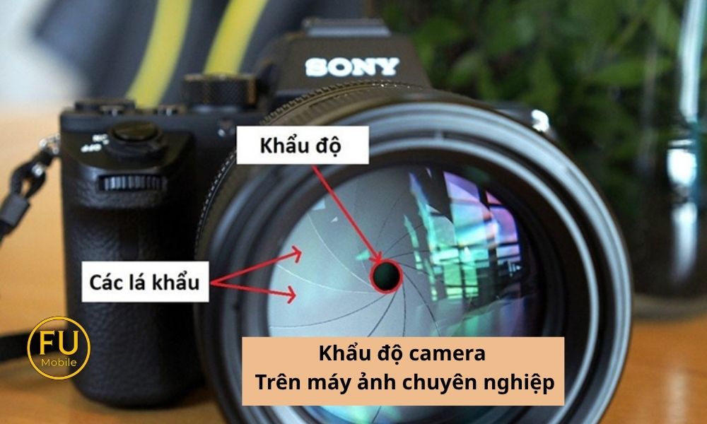 Khẩu độ Camera trên máy ảnh