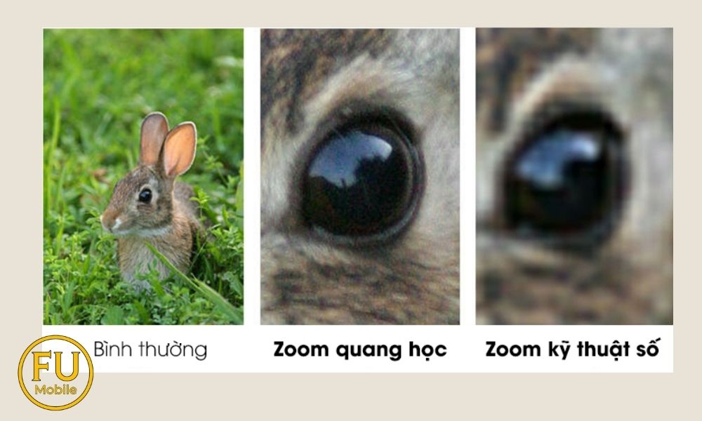 zoom-quang-hoc-la-gi-2