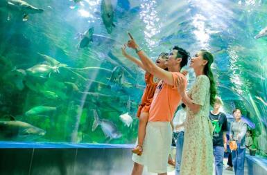 Kinh Nghiệm Du Lịch Tự Túc 2 Ngày 1 Đêm Thiên Đường Bảo Sơn & Bảo Tàng Quân Sự VN