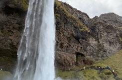 pexels-photo-29156939