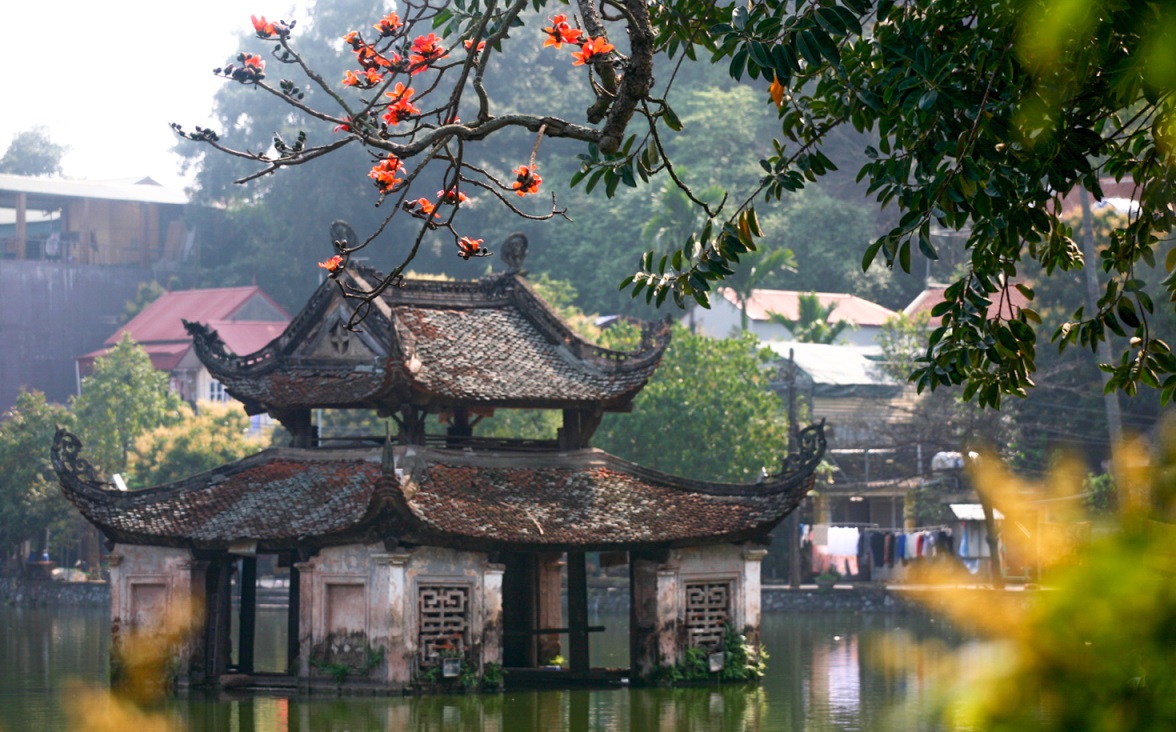 hoa-gao-chua-thay-1