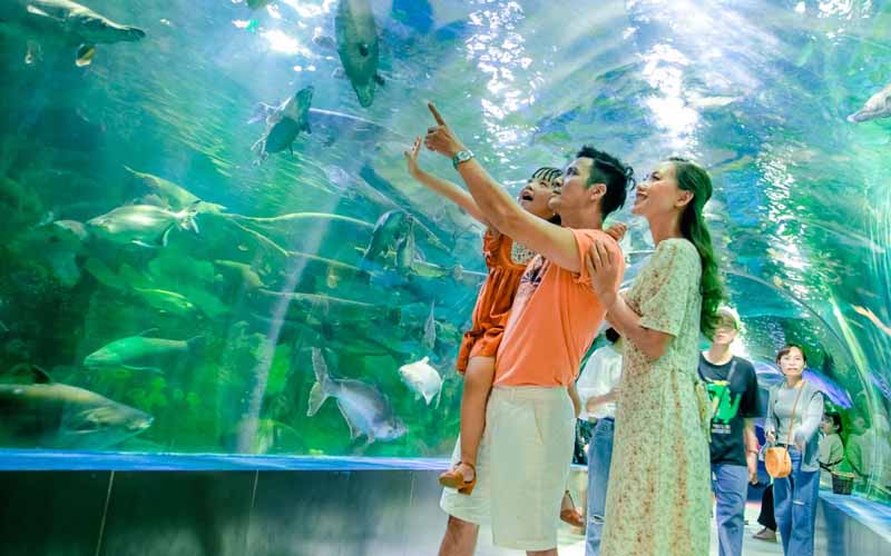 Kinh Nghiệm Du Lịch Tự Túc 2 Ngày 1 Đêm Thiên Đường Bảo Sơn & Bảo Tàng Quân Sự VN