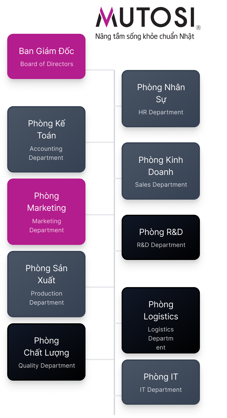 sơ đồ tổ chức
