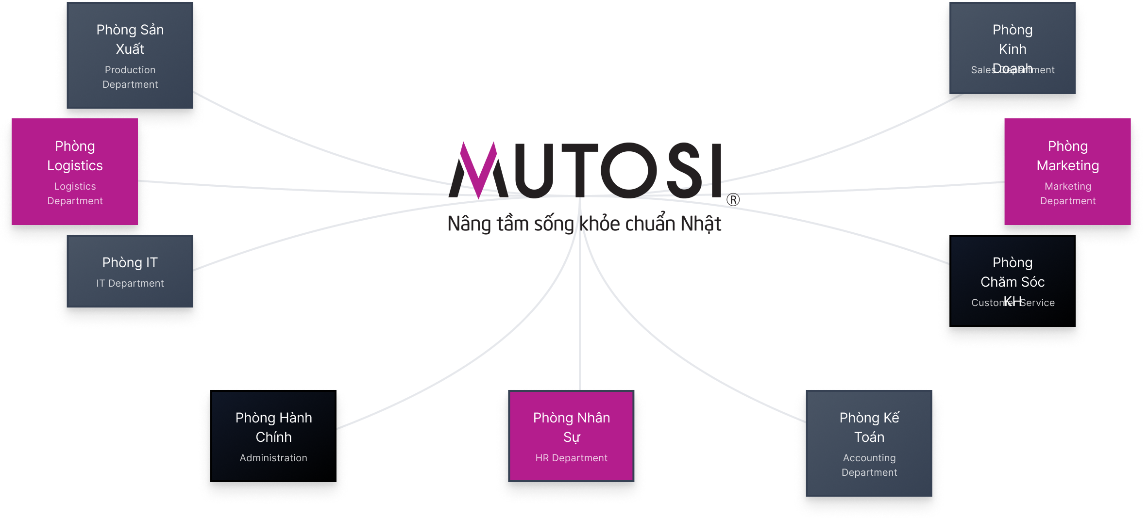 sơ đồ tổ chức