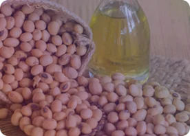 Dầu đậu tương