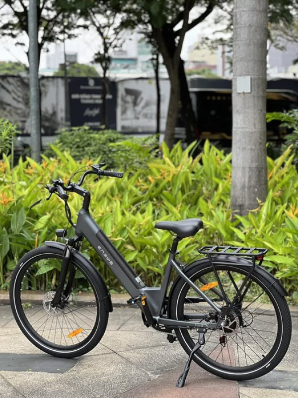 ENGWE P275SE