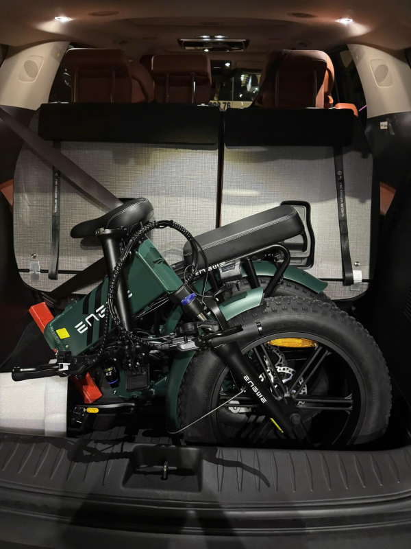 ENGWE PRO 2.0
