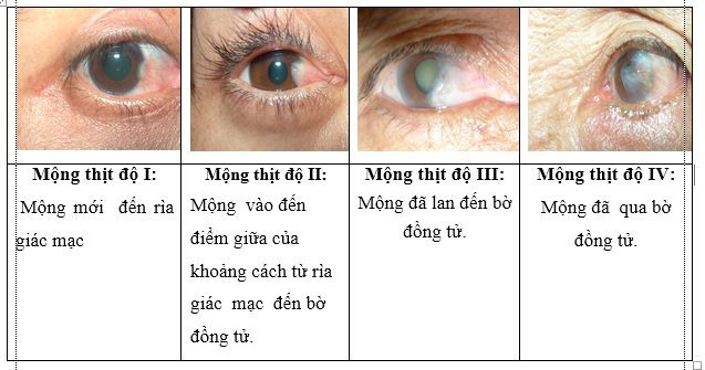 image-48