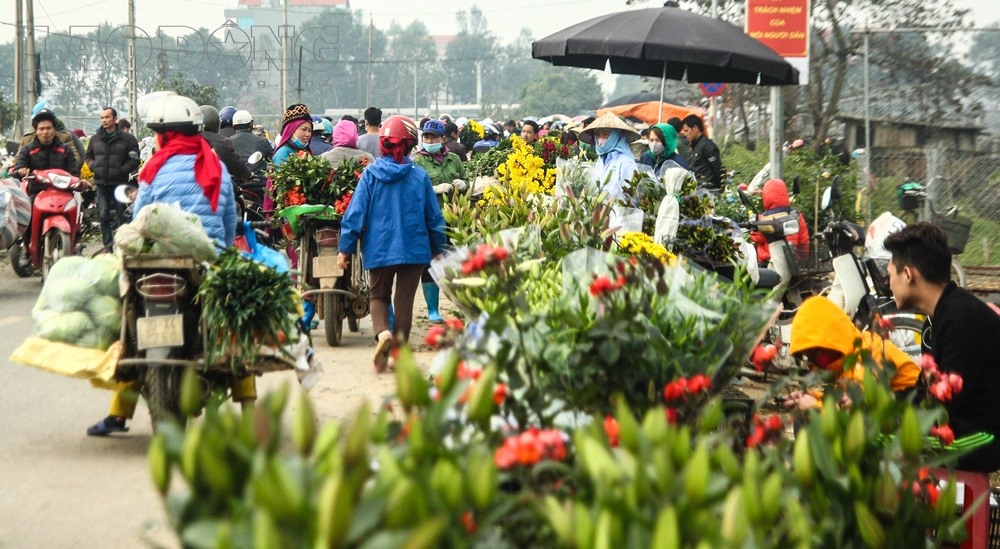 Khẩn: Người mua bán ở chợ hoa Mê Linh từ 20/3 cần liên hệ y tế gấp
