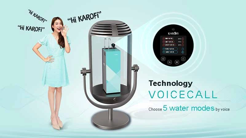 N91-Voice call technology