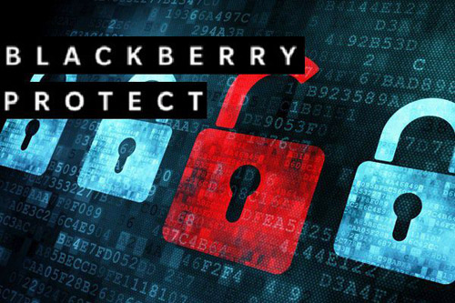 blackberry-protect-3