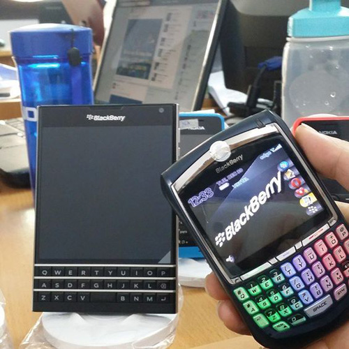 thich-blackberry-1