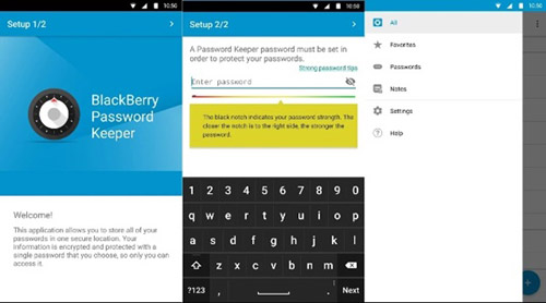 blackberry-manager-5