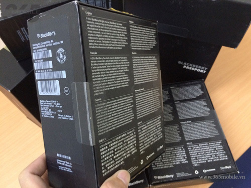 blackberry-fullseal-la-gi-1