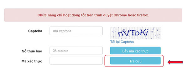 Điền đầy đủ thông tin và chọn tra cứu