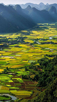 Hình nền Blackberry z10