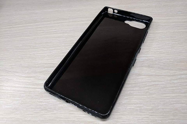 Ốp lưng của chiếc điện thoại blackberry evolve
