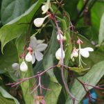 134031028-226426672282368-2477383443153036058-o