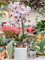 143204542-241144920810543-9089134342567062394-n