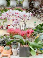 143958557-241144907477211-1008619987715875152-n