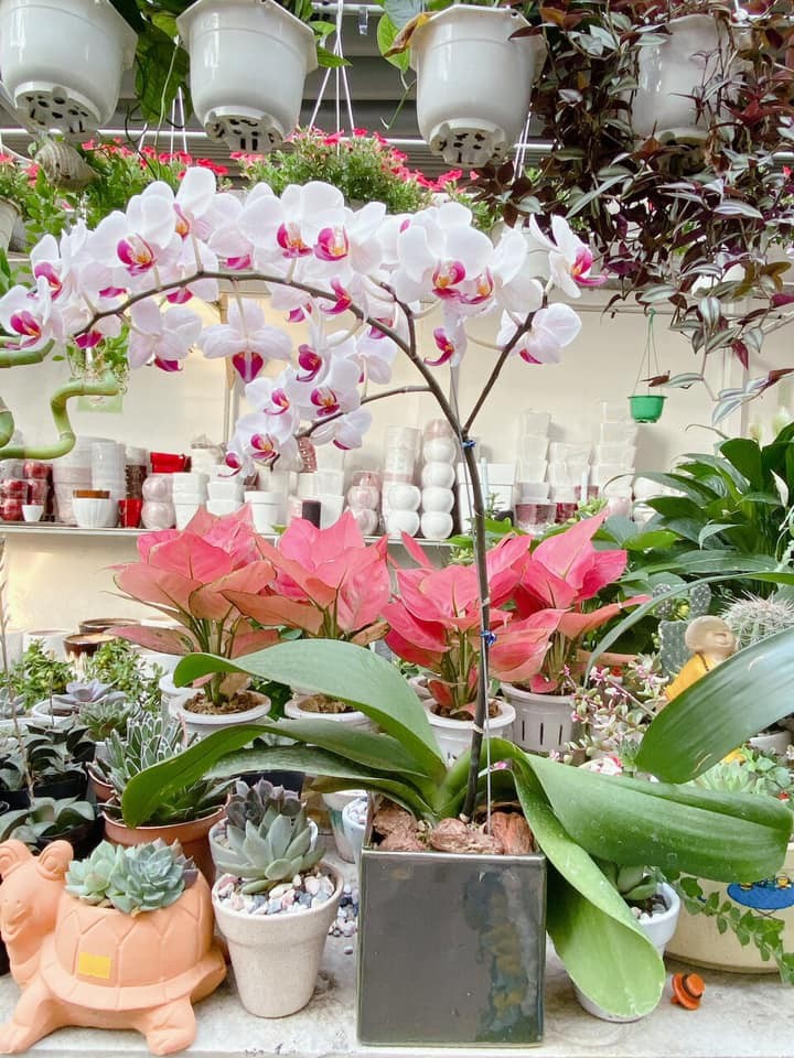 143958557-241144907477211-1008619987715875152-n