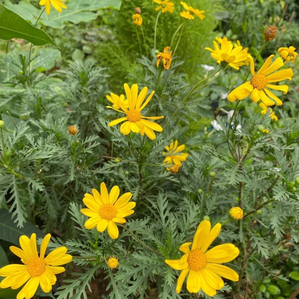 e84bd07c49a383fddab2