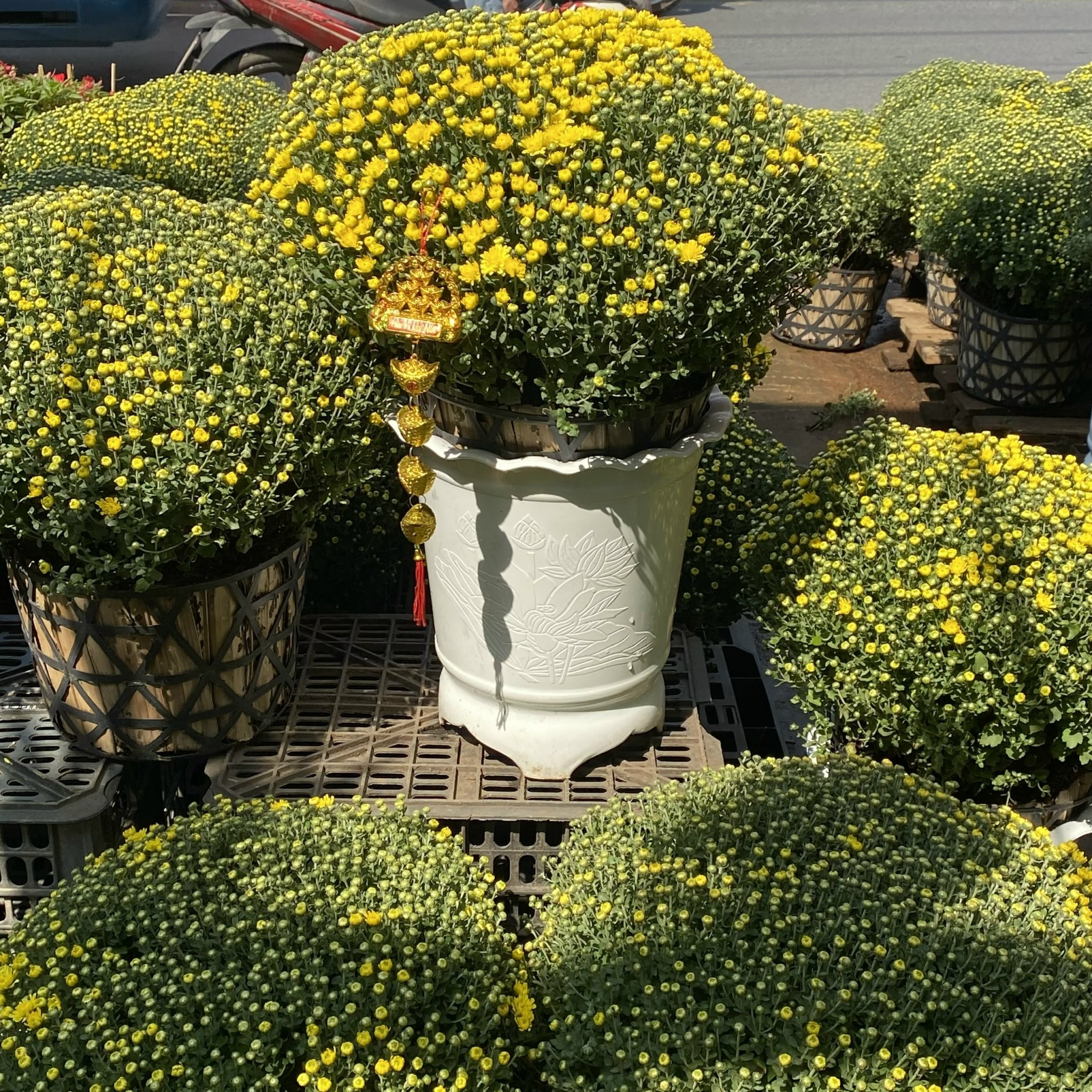 35e56f54a7837fdd2692