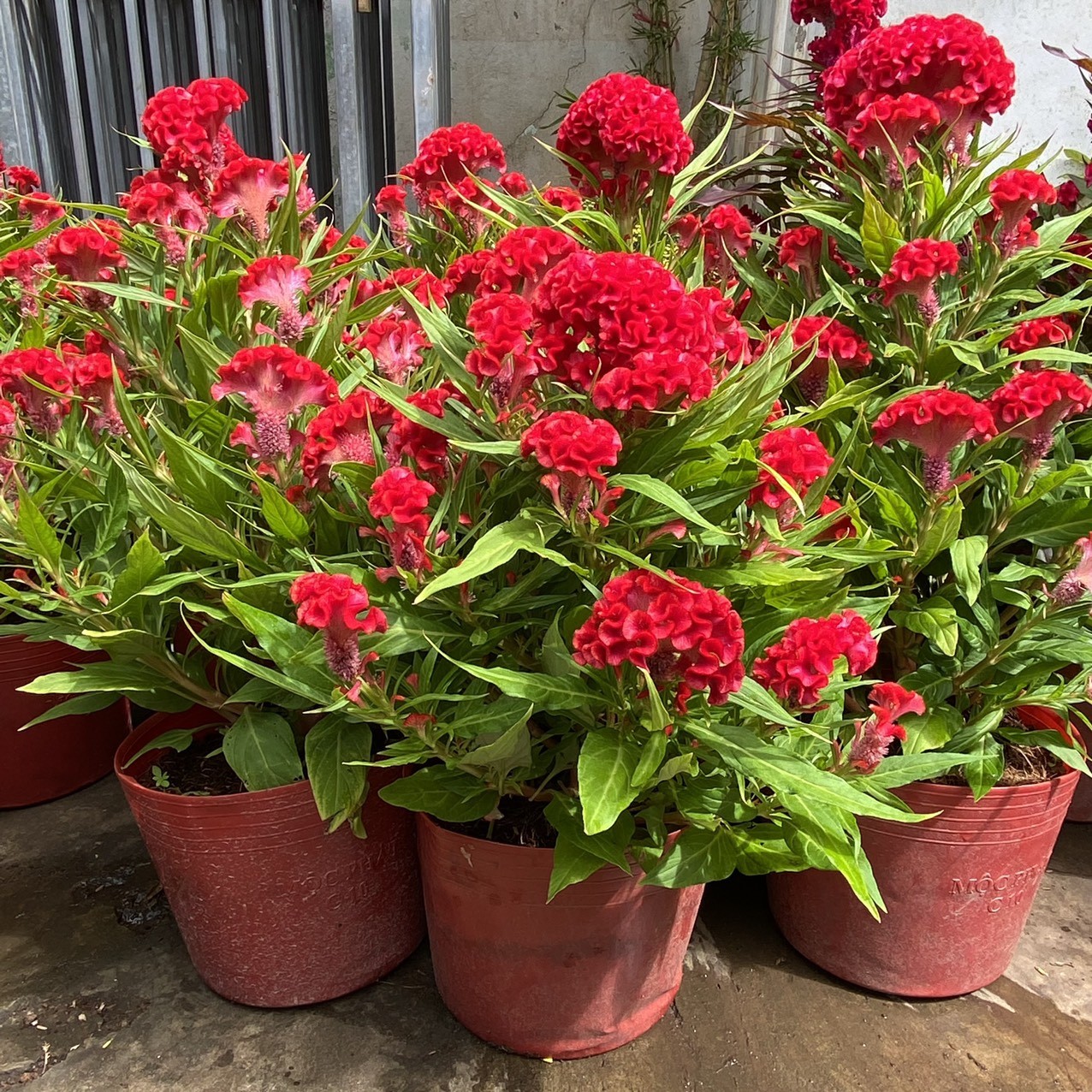 4f733fd3d84e0010595f