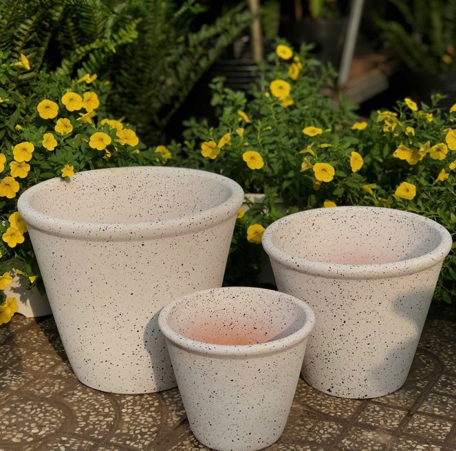 chau-dat-nung-phun-son