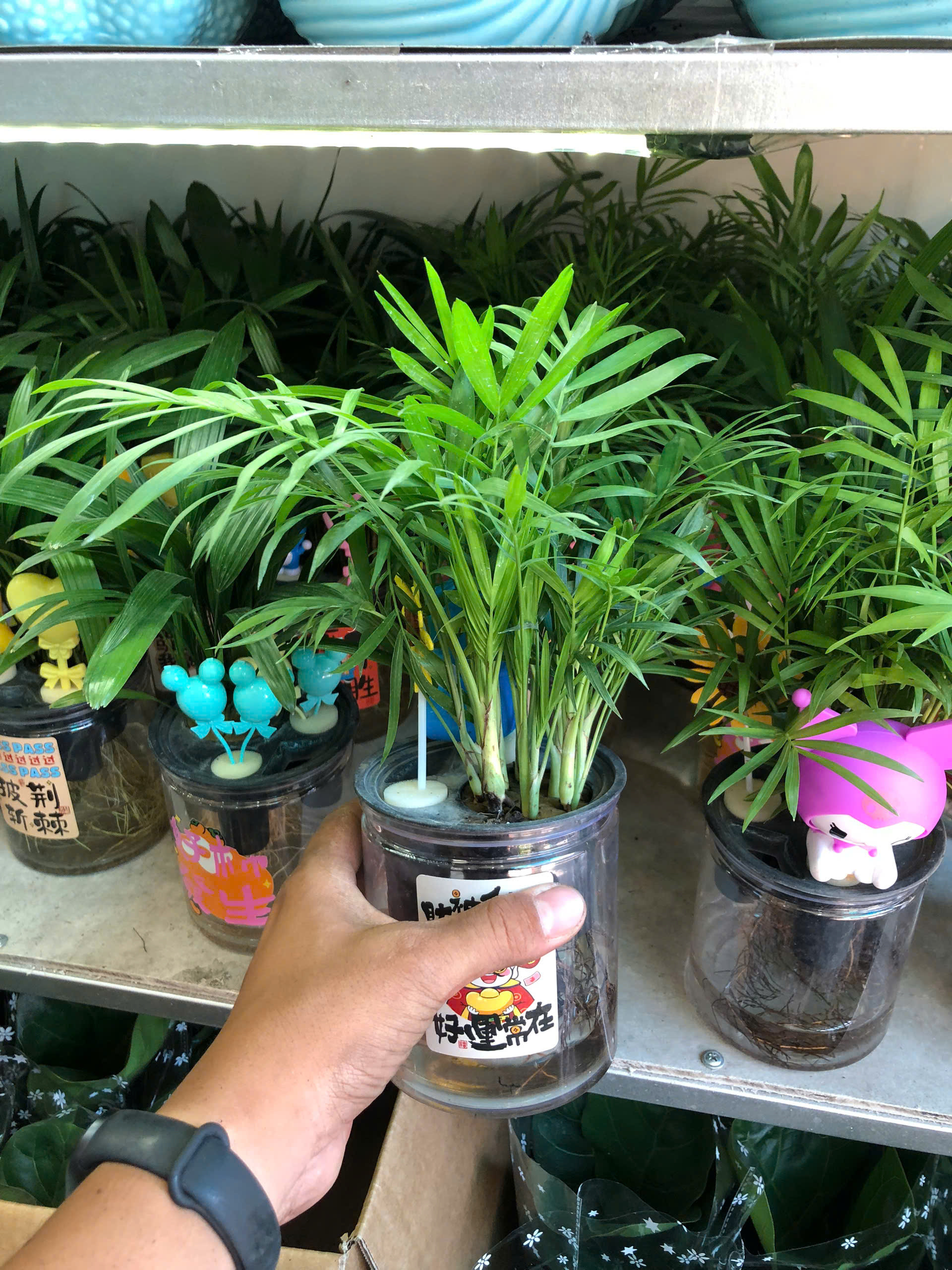 z7376013676186-ac9e97a1a2324bcfb50e8d0ea559a6fd