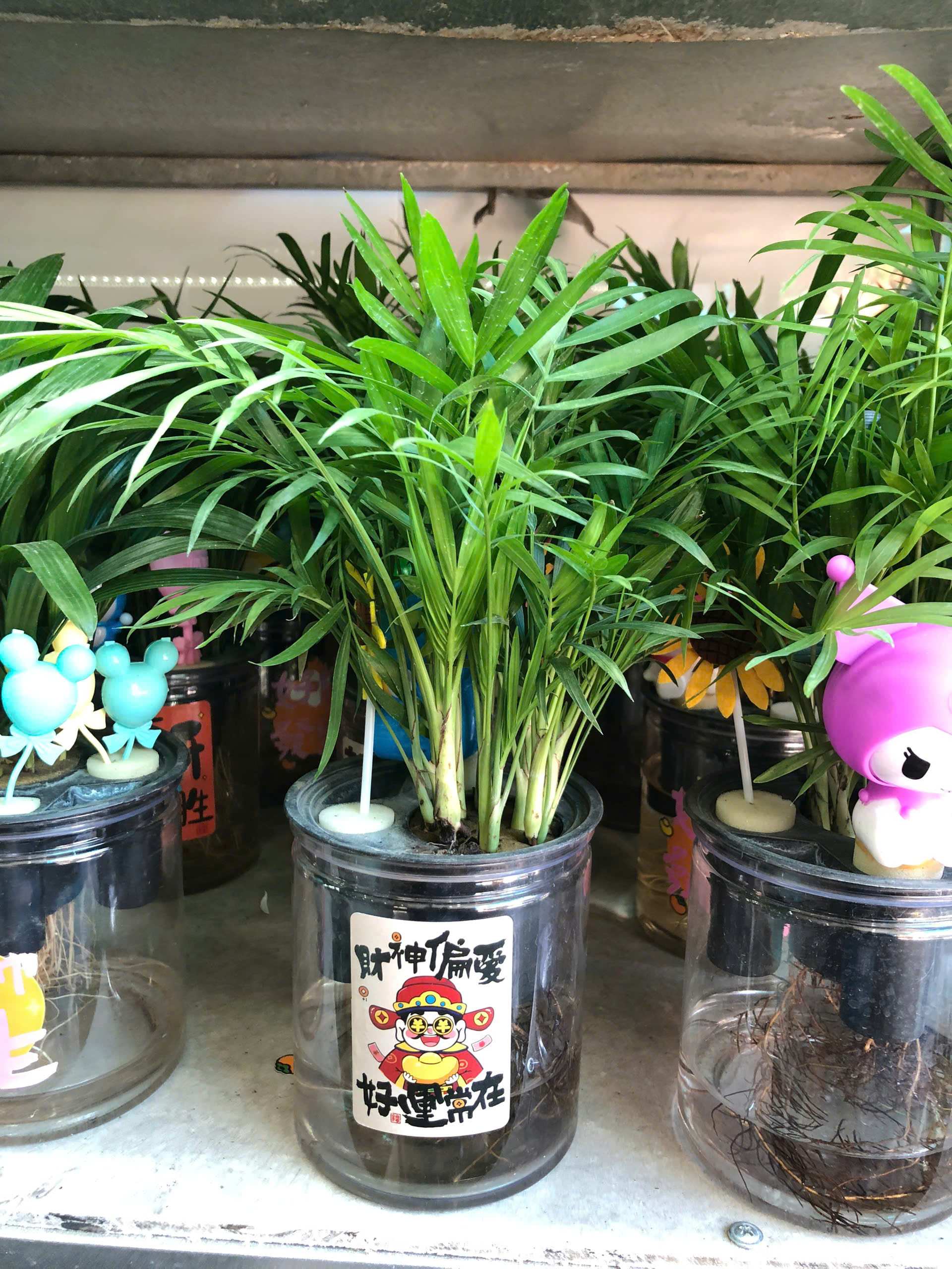 z7376013680984-62d256a666be16c2344f39a44be82d49