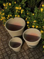 z7379627953846-689eb7a6113ad344a4334c6c9b3c7390