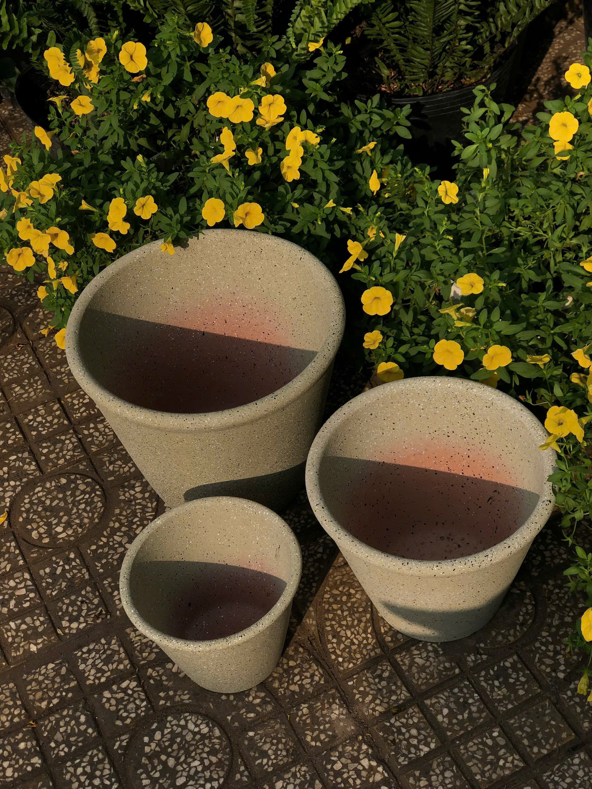 z7379627953846-689eb7a6113ad344a4334c6c9b3c7390