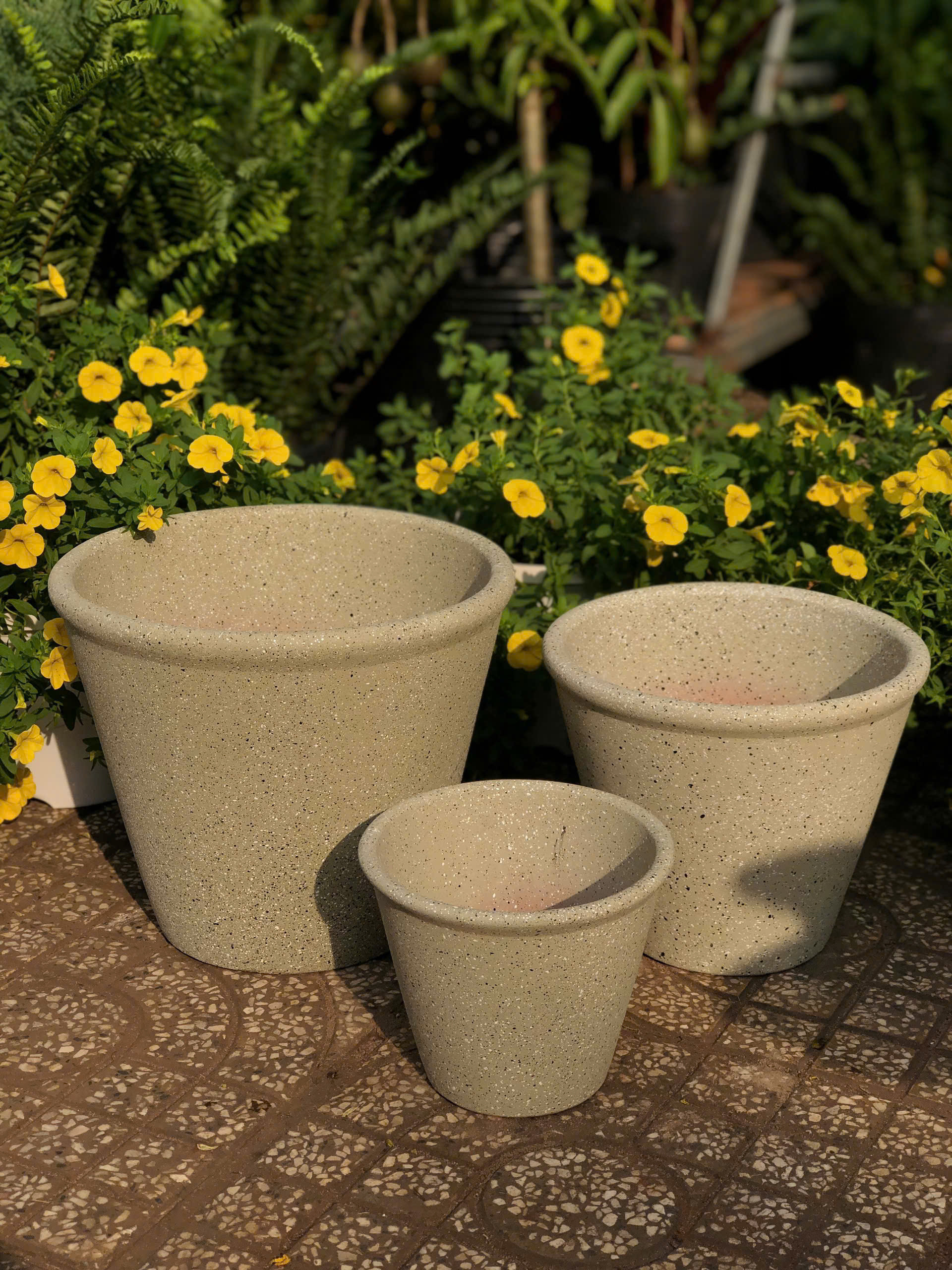 z7379627958918-a691f4857eadc4de8192e5118e28f800