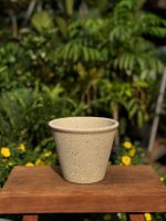 z7379627976656-07e26314a7eb57c0580589f1694ddadd