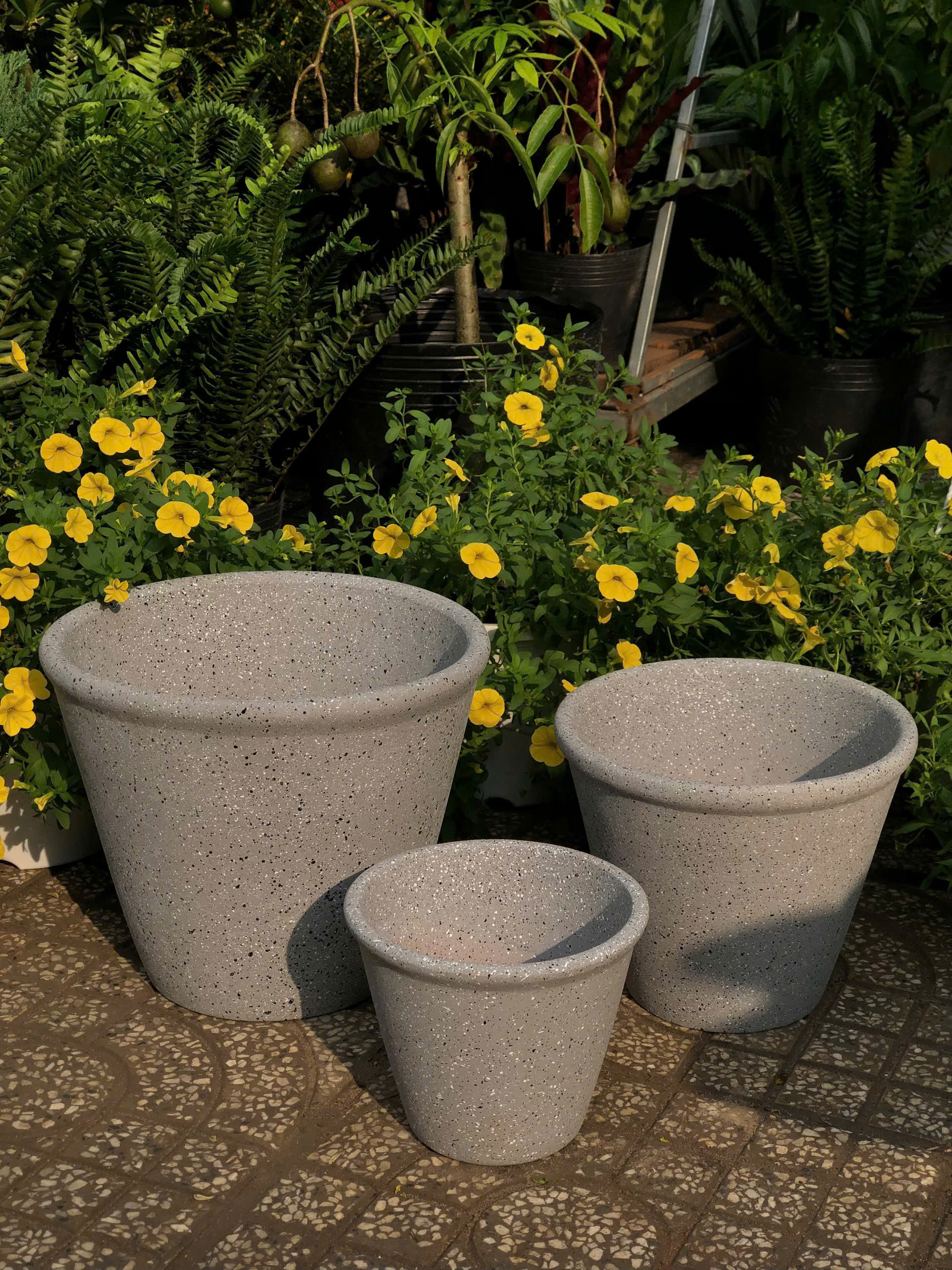 z7379627990937-48d4ac47840439ef05ed0229f5dcc4ad