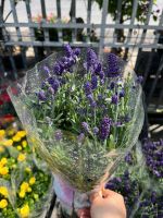 z7392967369312-b816687dced078d5ee8ebe7bde957b21