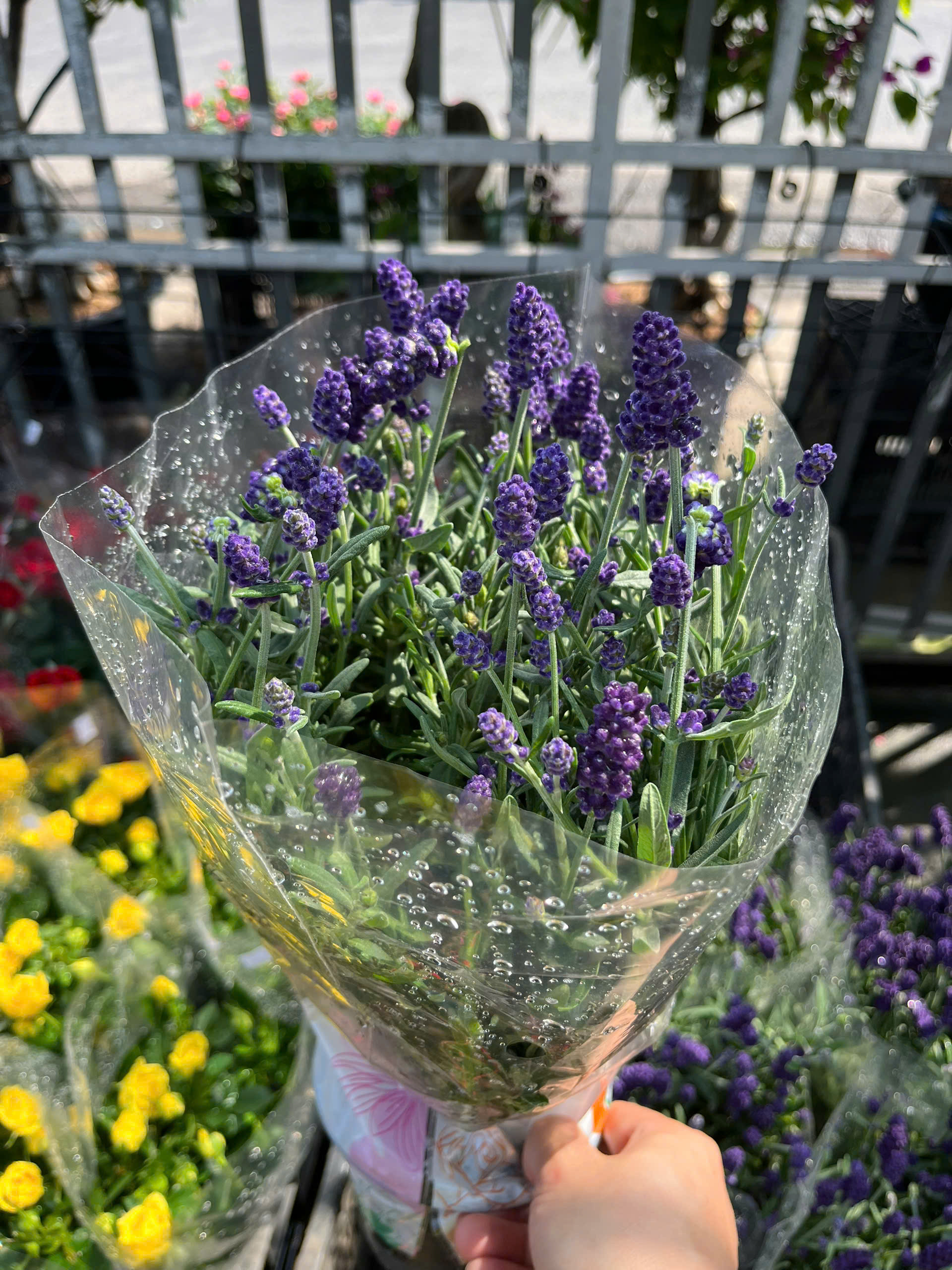 z7392967369312-b816687dced078d5ee8ebe7bde957b21