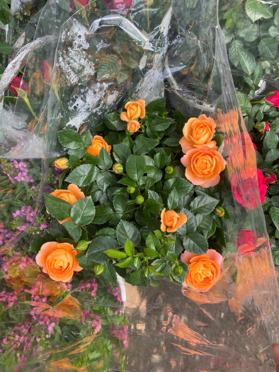 z7399060861070-f623358ada4fbb551048b4a6eca76c77