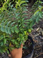 z7400559767152-ce012cbbe113fe3e9186062ad9270678