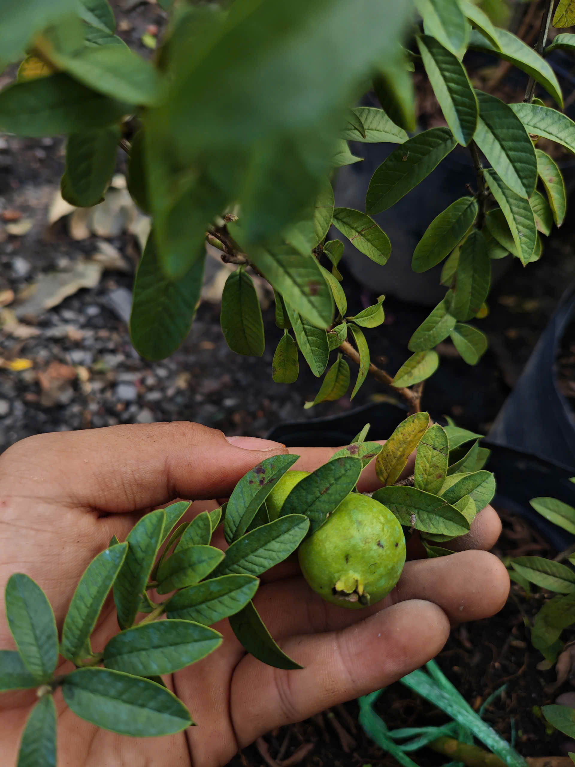 z7400559773566-c106939509ef8dc9e47f855ef64b58c9