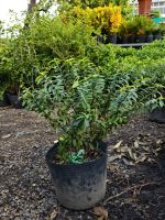 z7400559787090-ad28375b661bc60fb5f9b90454fe9b0f