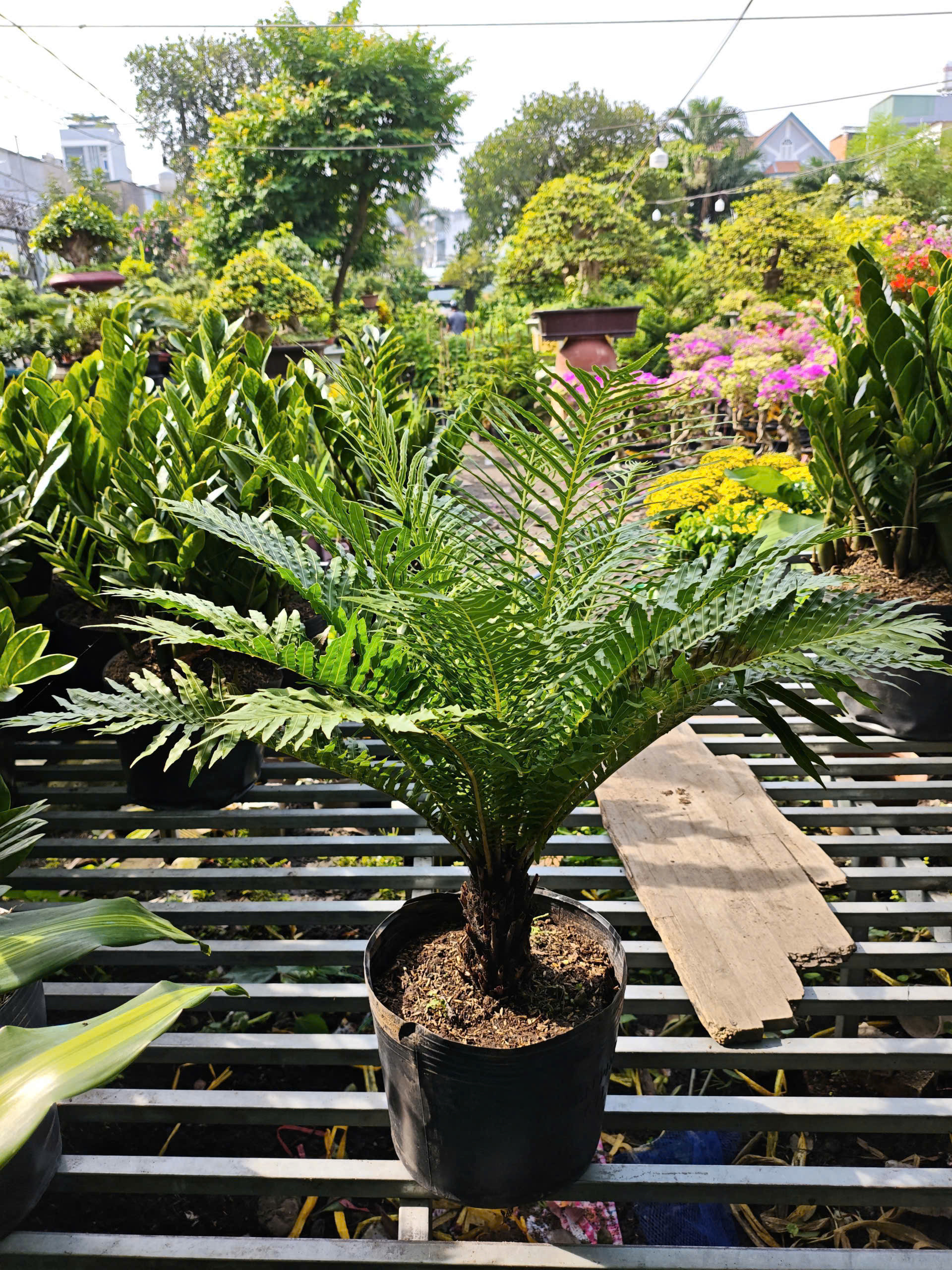 z7400559805288-6348fc3267a3de6a67463dbc5c2e4647