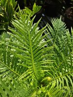 z7400559817039-32e9b2d4fb122c9d7eabf36f9e6ba2a7